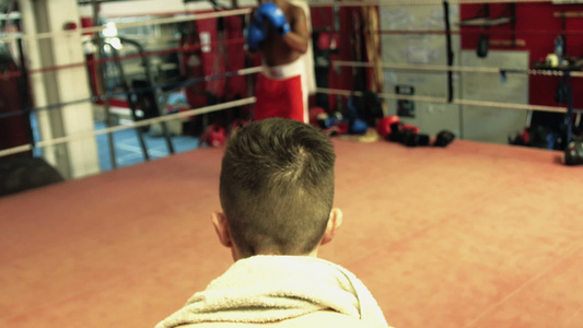 拳击手开始战斗视频