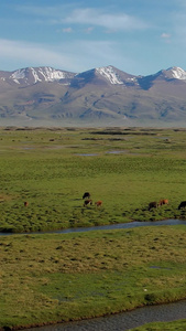 航拍巴音布鲁克草原雪山湿地生态视频新疆旅游视频