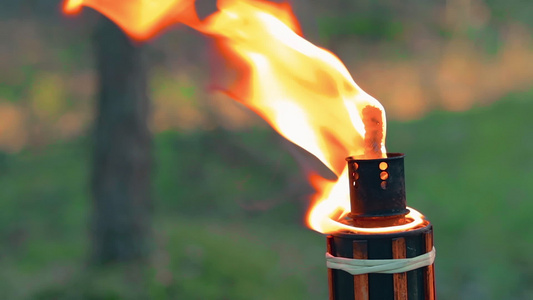 森林中竹火炬燃烧的液体燃料视频