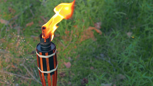 森林中竹火炬燃烧的液体燃料60秒视频