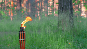 森林中竹火炬燃烧的液体燃料60秒视频