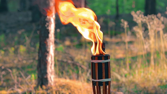 森林中竹火炬燃烧的液体燃料视频