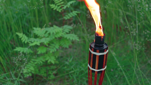 森林中燃烧的竹火炬燃料视频