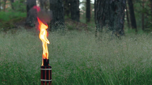 森林中燃烧煤油火炬60秒视频