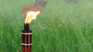 森林中燃烧的竹火炬燃料60秒视频