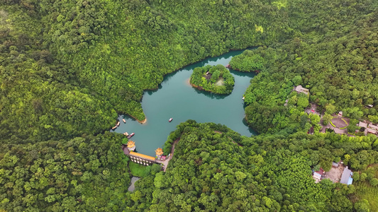 4K广东肇庆鼎湖山天湖景区蝴蝶谷视频