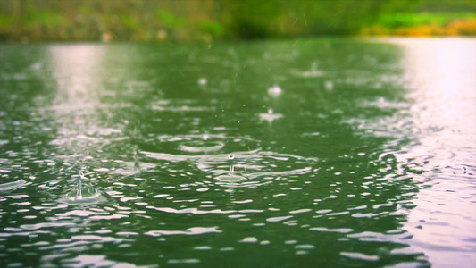 4K下雨雨滴升格特写视频