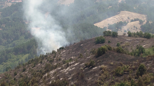 山林中点火产生的烟雾视频