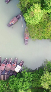 5A景区浙江杭州西溪湿地航拍视频杭州城市风光视频