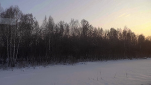 西伯利亚春天风景18秒视频