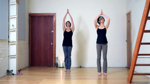 练瑜伽的两个女人48秒视频