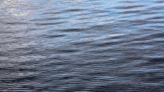 水面上的涟漪视频