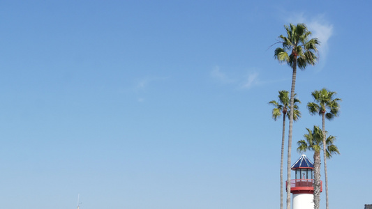 灯塔棕榈树和蓝天空红白信标滨水港村视频