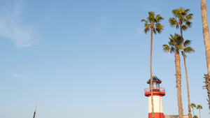 灯塔和棕榈树的水港9秒视频