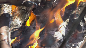 燃烧木柴24秒视频