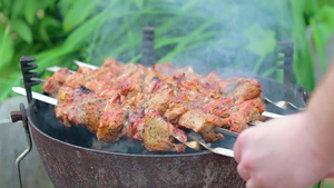 在烤架上烹饪的美味烤肉串48秒视频