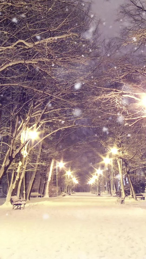 唯美树林路灯雪景30秒视频