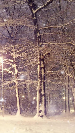 唯美树林路灯雪景30秒视频