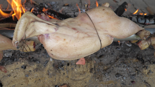 烤鸡肉在火焰上方闭眼与传统烧烤鸡肉的花园聚会笑声视频