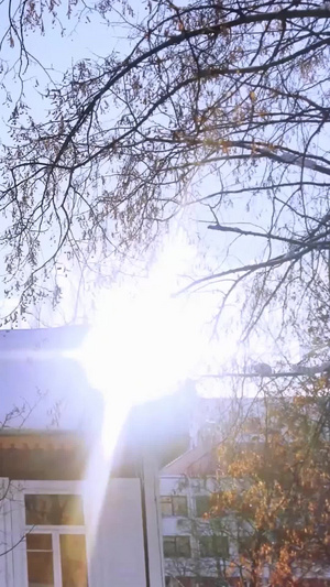 立冬初雪清晨屋檐厚压压的积雪雨雪后的阳光9秒视频