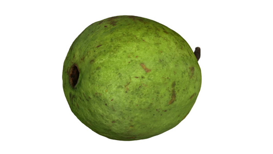 白色背景上旋转的guava02视频