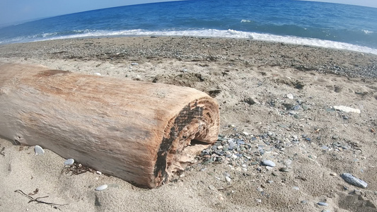 海滨树干前坠落的波浪缓慢运动视频