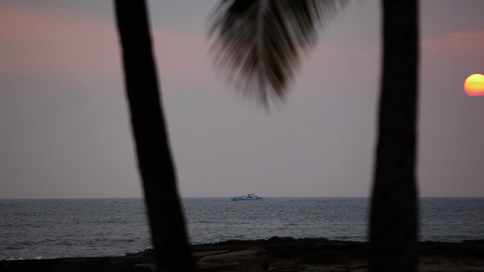 夏威夷考艾岛远处海洋上棕榈树和渡轮的剪影视频