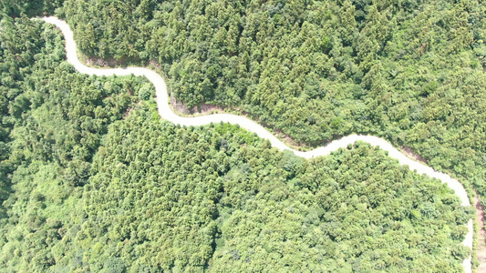 航拍森林中蜿蜒山路视频