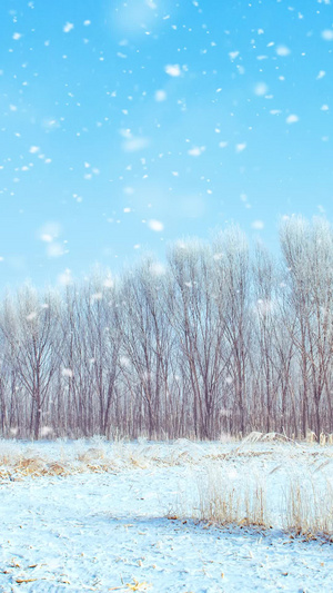 内蒙古冬季山村雪景视频素材唯美雪景10秒视频