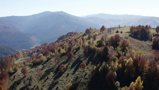 飞过美丽的彩色秋天树和山上堆肥的干草视频