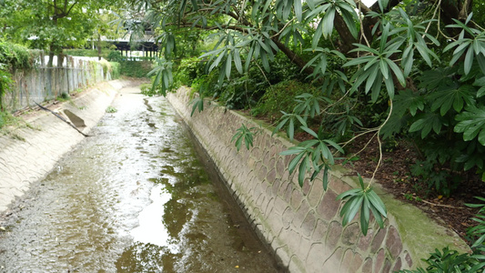 干涸河道视频