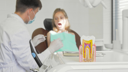 检查一个小女孩在前景上健康牙齿模型的牙牙牙牙科牙医视频