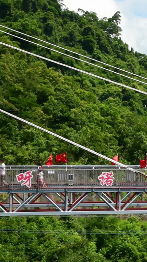 呀诺达景区的哇哎噜玻璃观景平台呀诺达雨林景区17秒视频