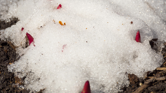 积雪融雪时间间隔视频