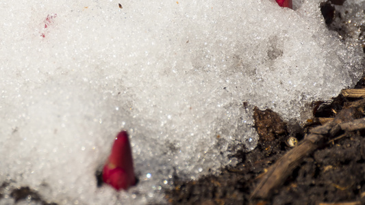 积雪融雪时间间隔视频