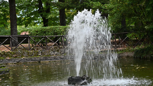 公园湖的喷水6秒视频
