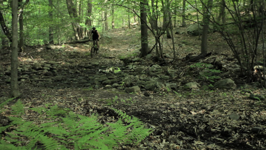年轻的男性骑自行车者骑自行车穿过森林视频