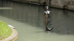 特列维索的美人鱼雕像16秒视频