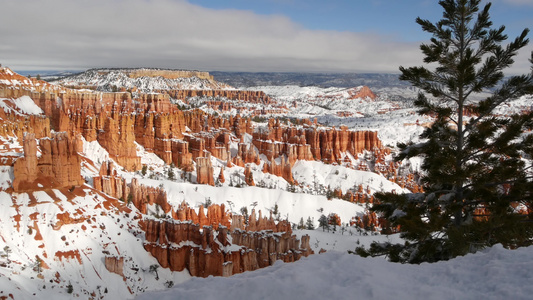 冬天的布莱斯峡谷美国犹他州的雪圆形剧场中的不祥之物视频