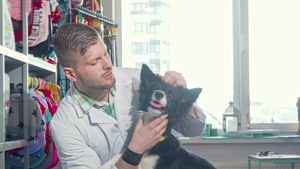 男兽医对着镜头微笑拥抱可爱的狗10秒视频