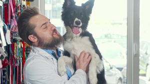 在他的诊所里宠爱可爱的狗高兴得要命的留胡子兽医10秒视频