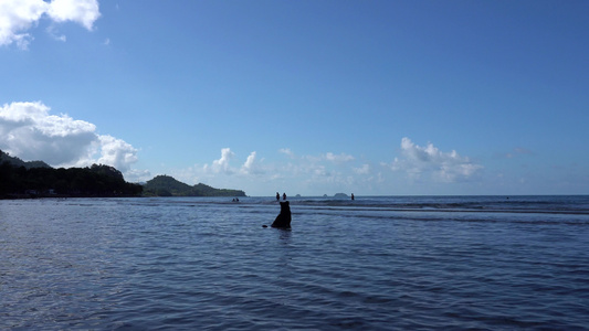狗坐在大海中享受风景视频