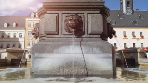 狮子头喷泉水从嘴里流出11秒视频