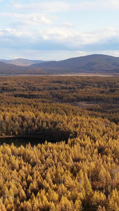 航拍内蒙古阿尔山地池全景自然风光视频