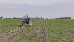 玉米灌溉现场317秒视频