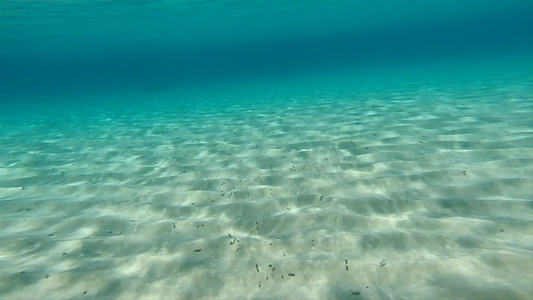 海洋水底潜拍视频