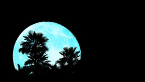 超级蓝色月亮在夜空20秒视频