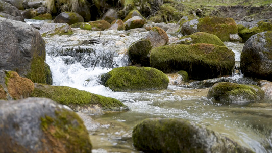 山涧溪流流水水资源森林[涧水]视频