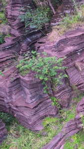 航拍湖南旅游4A级景区湘西红石林国家地质公园红色岩石素材红石林素材视频