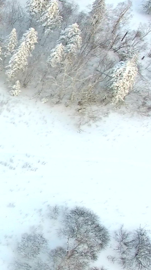 航拍雪地摩托相约北京25秒视频